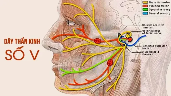 Bao lâu nên đi trị liệu một lần?