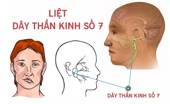 DỊCH VỤ NỔI BẬT