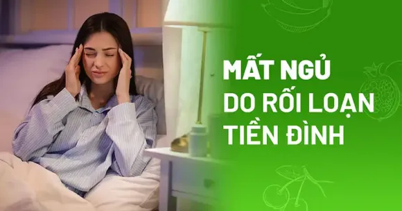 DỊCH VỤ NỔI BẬT
